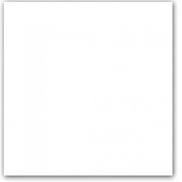 ALASKA WHITE SUGAR LAPP. 60X60